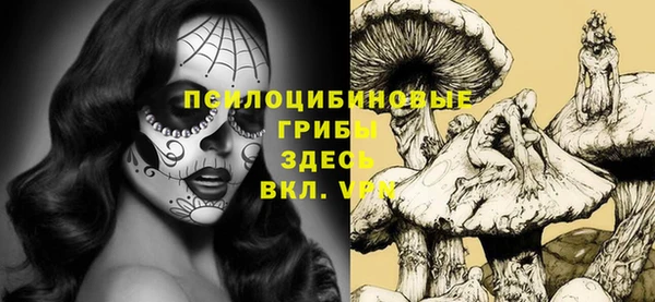 гидропоника Магадан