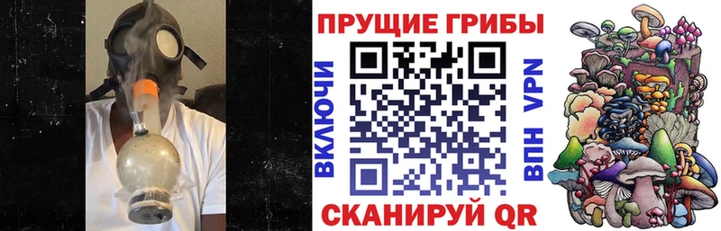Псилоцибиновые грибы MAGIC MUSHROOMS  Купить где  Алупка 